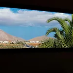 Upupa *