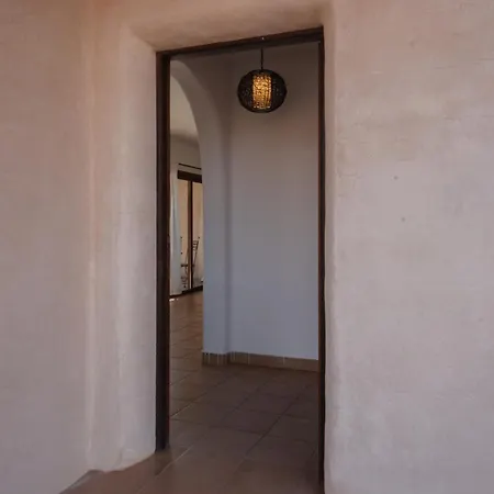 Upupa Orman Evi *