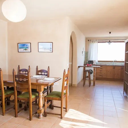 Upupa Orman Evi *